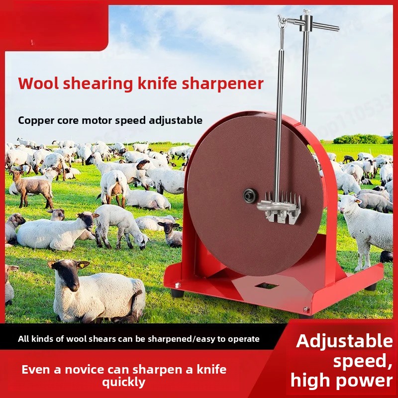 Workshop Tools Knife Sharpener - Affilatrice per Lame WE-68 ad Alta